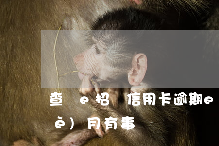 查詢e招貸信用卡逾期(e招貸逾期一個(gè)月有事嗎)