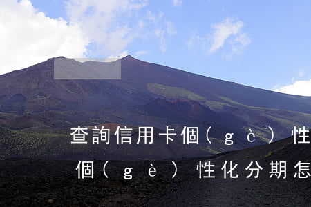 查詢信用卡個(gè)性化分期(查詢信用卡個(gè)性化分期怎么查)