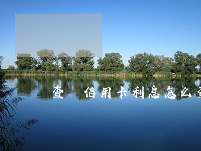 查詢信用卡利息(怎么查信用卡的本金和利息)