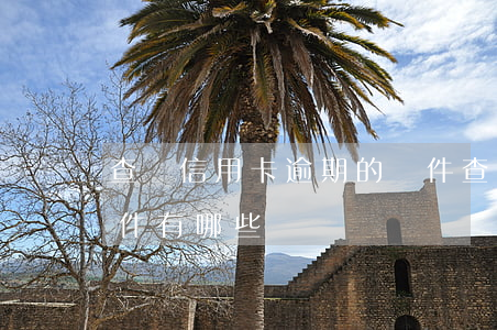 查詢信用卡逾期的軟件(查詢信用卡逾期的軟件有哪些)