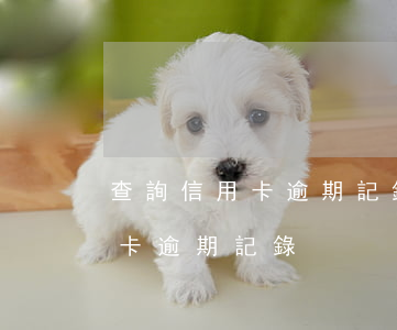 查詢信用卡逾期記錄的軟件(哪里可以查信用卡逾期記錄)