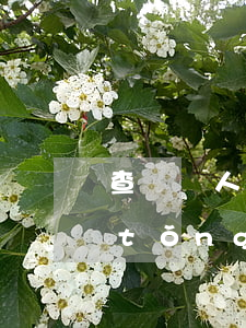 查詢個人保險情況(個人保險信息查詢系統(tǒng)官方網(wǎng)站)