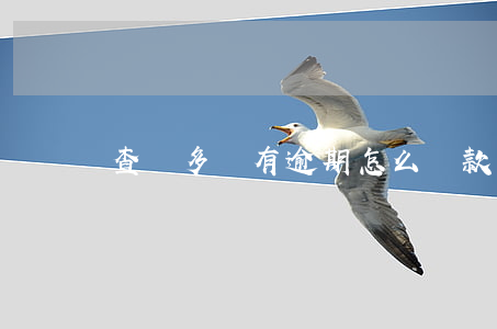查詢多沒有逾期怎么貸款(查詢超了如何貸款)