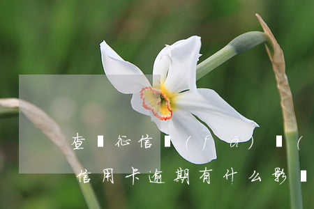 查詢征信發(fā)現(xiàn)有一次信用卡逾期有什么影響（信用卡逾期幾天也算征信污點(diǎn)）