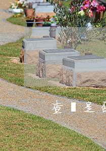 查詢是否逾期信用卡(怎樣查信用卡逾期)