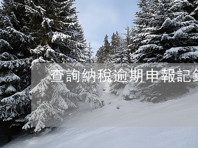 查詢納稅逾期申報記錄(怎么查逾期申報的稅)