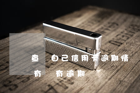 查詢自己信用卡逾期情況(怎么查自己信用卡有沒有逾期)