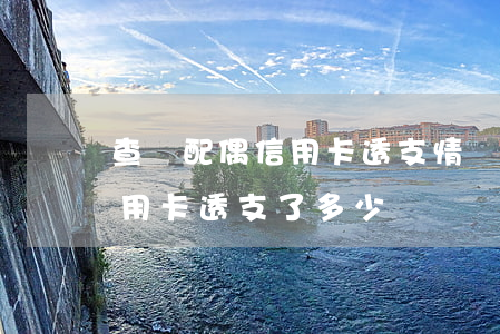 查詢配偶信用卡透支情況(如何查詢家人的信用卡透支了多少)