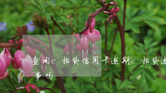 查询e招贷信用卡逾期(e招贷逾期一个月有事吗)