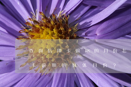 查询信用卡逾期的月份怎么查，如何查询信用卡逾期的具体月份？