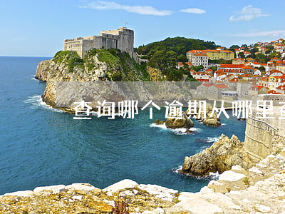 查询哪个逾期(从哪里查逾期)