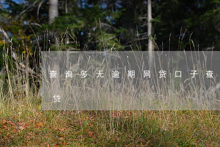 查询多无逾期网贷口子(查询过多能下款的网贷)