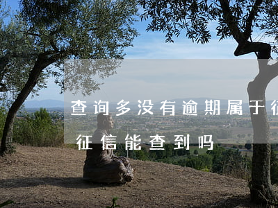 查询多没有逾期属于征信黑还是花 没有逾期征信能查到吗