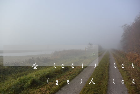 查財(cái)產(chǎn)多少錢(查詢個(gè)人財(cái)產(chǎn)在哪里查)