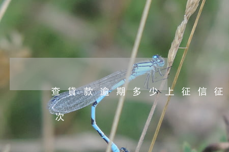 查貸款逾期多少上征信(征信怎么看逾期多少次)