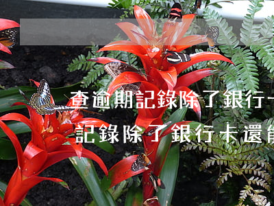 查逾期記錄除了銀行卡還能在哪里-查逾期記錄除了銀行卡還能在哪里查