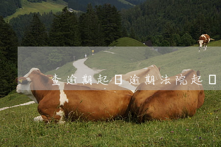 查逾期起訴(逾期法院起訴)