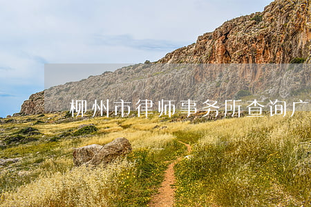 柳州市律师事务所查询(广西柳州律师事务所)