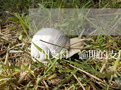 柳州支付寶逾期的(支付寶15萬逾期)