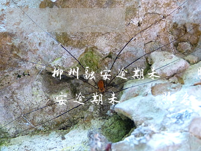 柳州融安逾期未檢駕照名單在哪里查（柳州融安逾期未檢駕照名單）