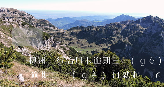 柳州銀行信用卡逾期三個(gè)月(銀行卡逾期三個(gè)月就起訴了?)