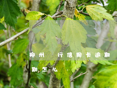 柳州銀行信用卡逾期兩天(信用卡逾期了一星期怎么辦)