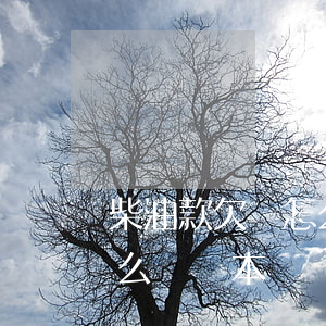 柴油款欠條怎么寫合法范本(合法的欠條該怎么寫樣本)