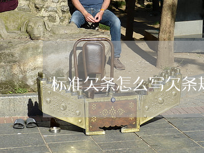 标准欠条怎么写(欠条规范写法)