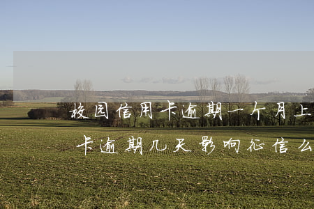 校园信用卡逾期一个月上征信吗(一个月信用卡逾期几天影响征信么)