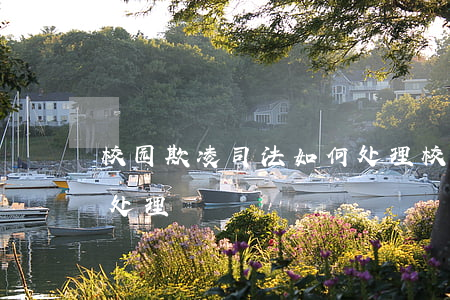 校园欺凌司法如何处理(校园欺凌的案件以及处理)