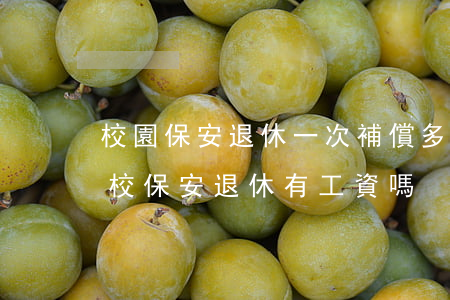 校園保安退休一次補償多少錢(學(xué)校保安退休有工資嗎)