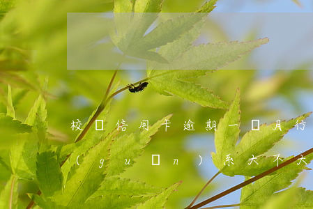 校園信用卡逾期一個月 行用卡逾期一個月關(guān)系大不大?