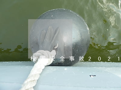 校園安全事故(2021年校園安全事故)