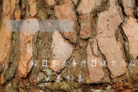 校園暴力事件處理方法(校園暴力事件處理方法以暴制暴)
