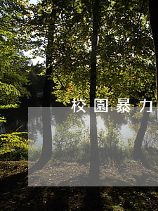 校園暴力會(huì)怎么判刑呢