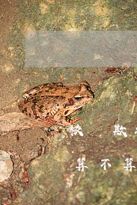 校園欺凌一巴掌多少錢(qián)(扇巴掌算不算校園暴力)