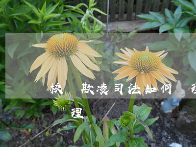 校園欺凌司法如何處理(校園欺凌的案件以及處理)