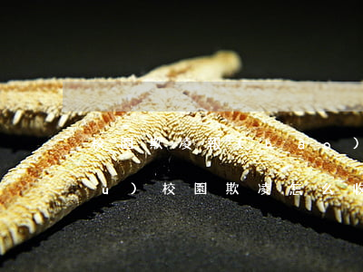 校園欺凌報(bào)案需要什么證據(jù)(校園欺凌怎么收集證據(jù))