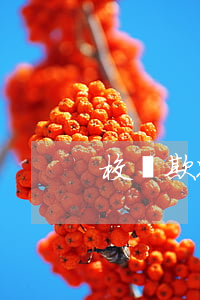 校園欺凌抑郁了可以賠償嗎