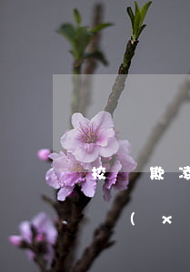 校園欺凌是什么意思（校園欺凌有哪些主要表現(xiàn)）