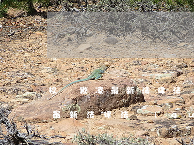 校園欺凌最新法律法規(guī)(校園欺凌最新法律法規(guī)視頻)