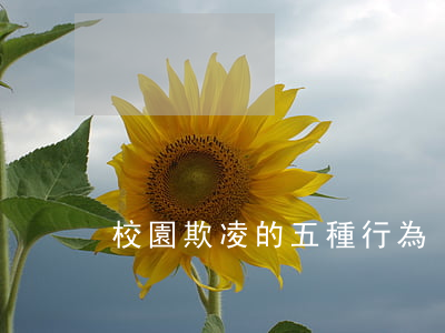 校園欺凌的五種行為
