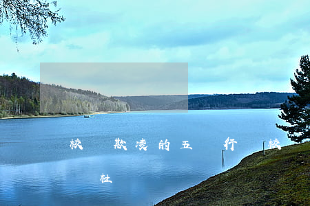 校園欺凌的五種行為(校園欺凌的五種行為怎樣杜絕)