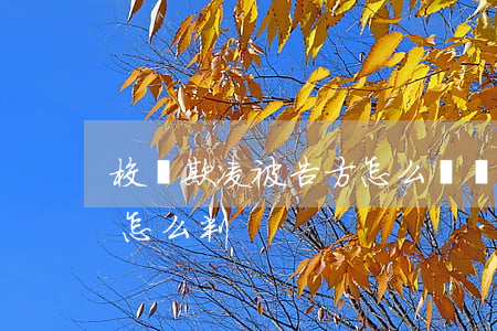 校園欺凌被告方怎么辯護(hù)(校園欺凌怎么判)