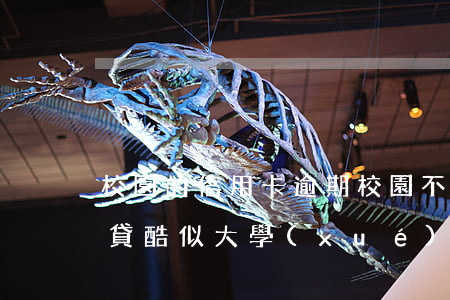 校園的信用卡逾期(校園不良網(wǎng)貸酷似大學(xué)生信用卡如若逾期還款的影響有)