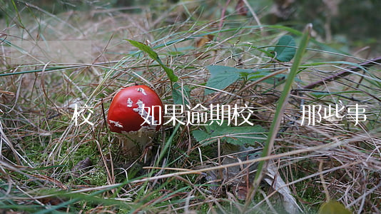 校園貸如果逾期(校園貸那些事)