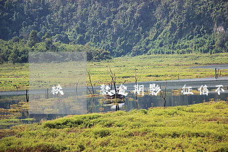 校園貸款逾期影響征信不(校園貸影響征信嗎)