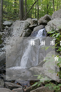 株洲市請(qǐng)個(gè)債務(wù)合同律師費(fèi)用多少-債務(wù)律師收費(fèi)