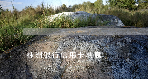 株洲银行信用卡利息