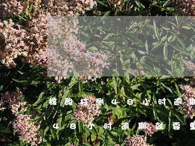 核酸检测48小时逾期就要重做吗(核酸检测48小时逾期就要重做吗有影响吗)